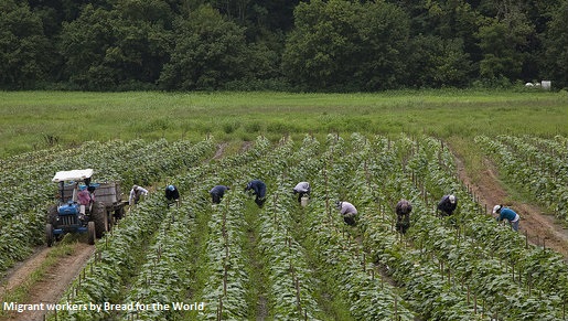 Migrant Workers by Bread for the World