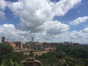 siena4