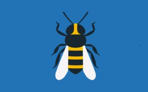manchesterbee