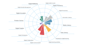 digital skills self-assessment report