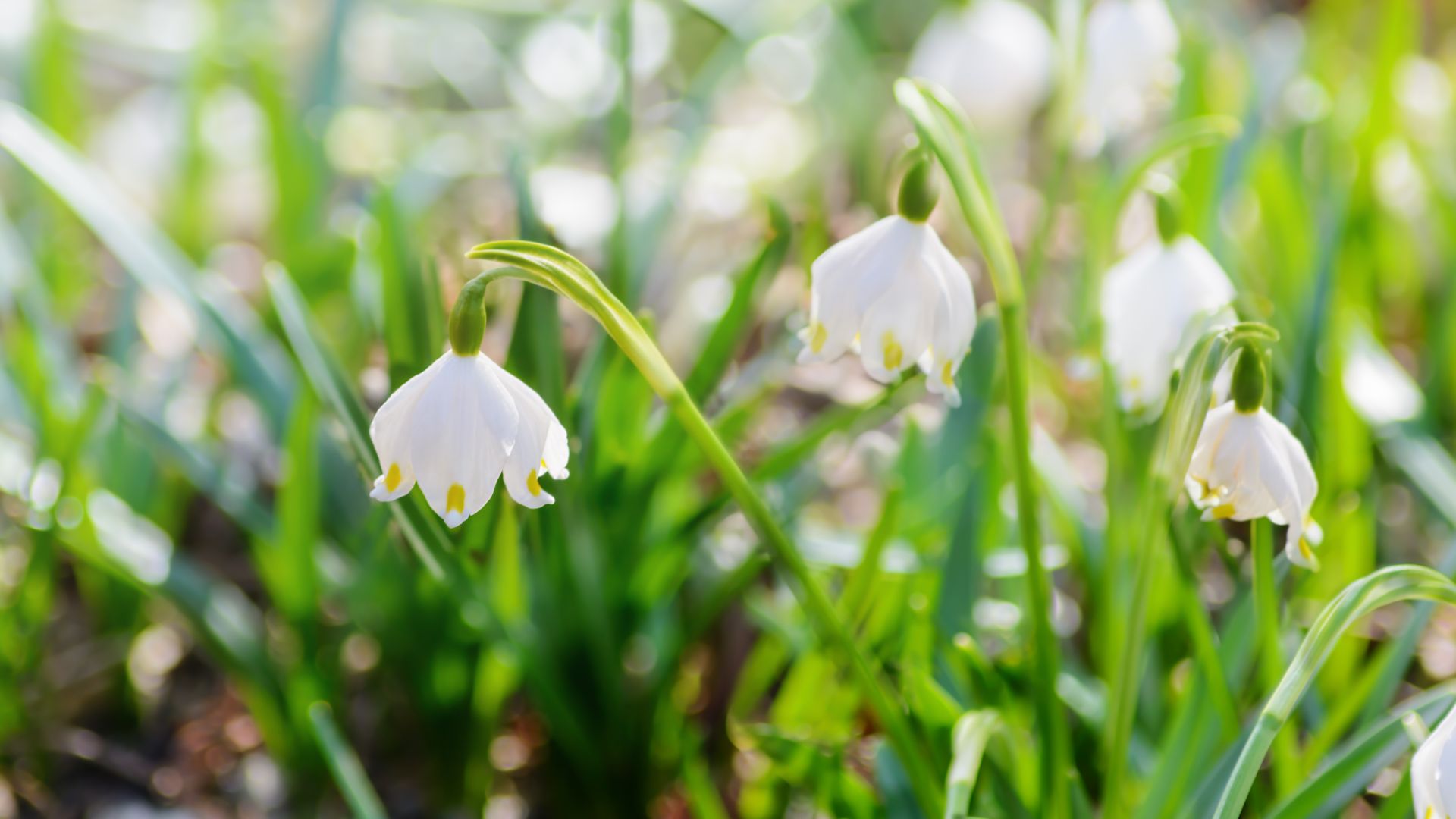 Bereavement Social Group
