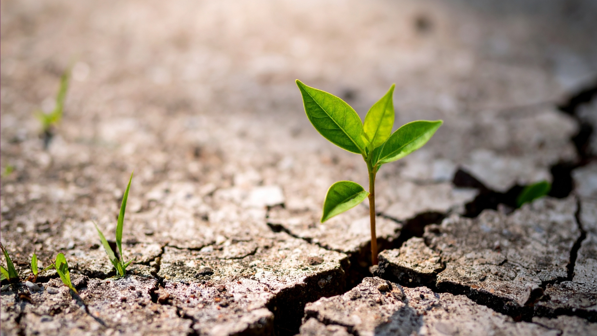 Careers Workshop: Resilience in Action