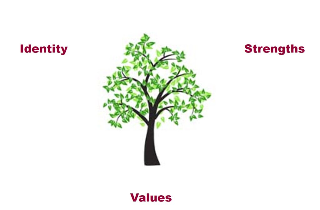 A tree, values, identity, strengths