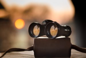 Pair of binoculars sitting on a binocular case