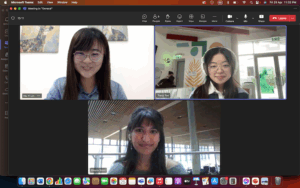 VIP TEAMS MEETING