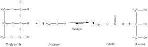 Figure 1. Reaction scheme for biodiesel production