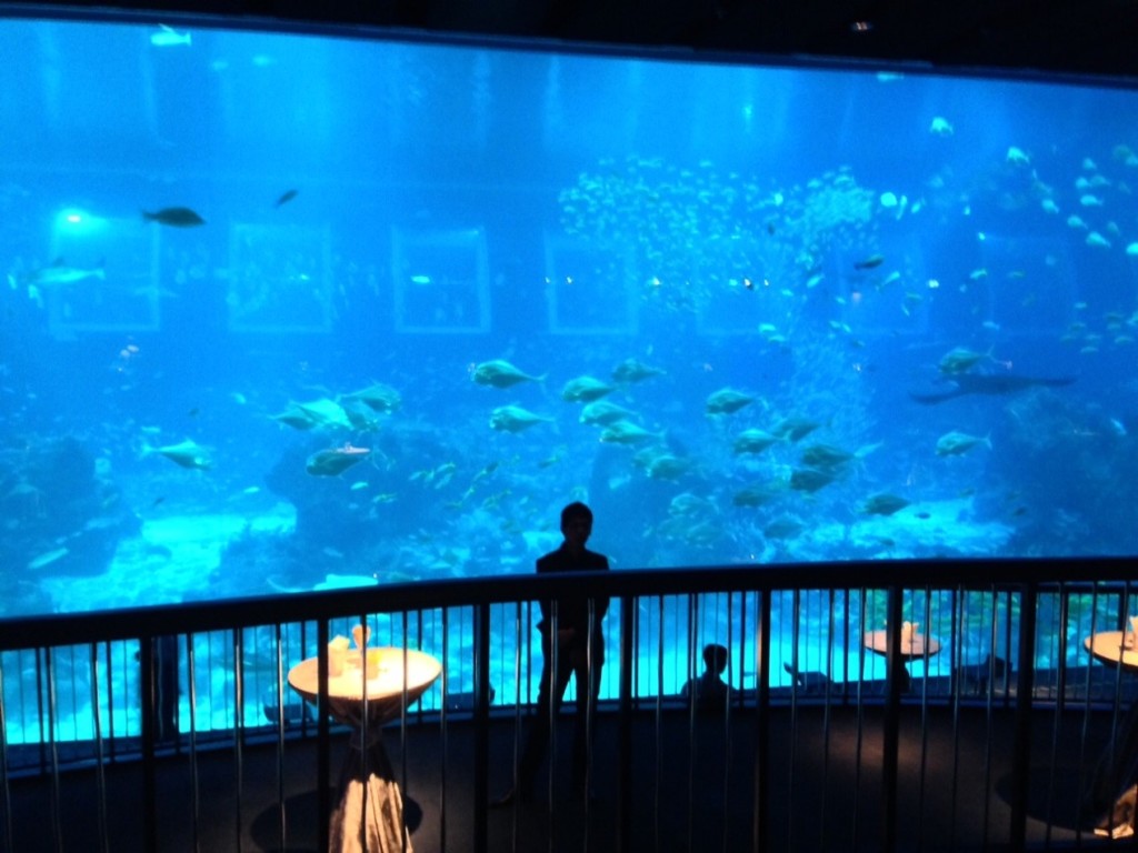 Conference cocktail in Singapore Aquarium.