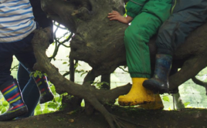 Children in trees. Only their legs are visible, and they have brightly coloured boots.