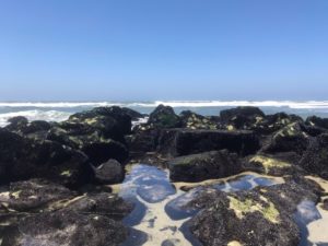 A wave forming in the sea as seen through rocks