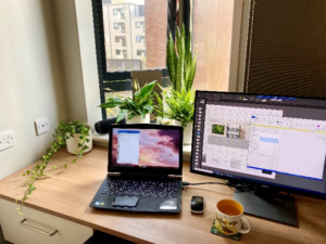 A window-side working desk with some plants, a laptop and a desktop.