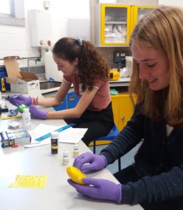 Two placement students running experiments at a research laboratory.