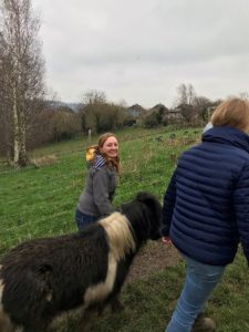 A woman leading a black and white pony on a hill.