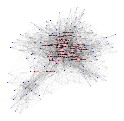 Fig. 12 Network of local Twitter accounts by degree centrality