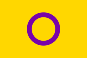 intersex flag