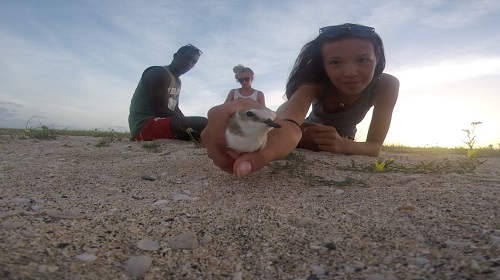 holding chick in hand