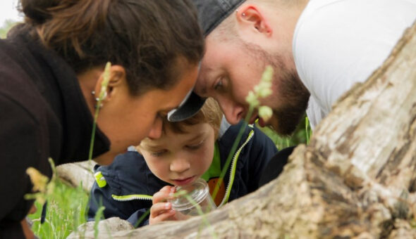 A family looking closely at an insect on a piece of wood
