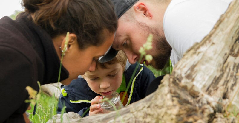 A family looking closely at an insect on a piece of wood