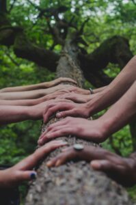 Several people place their hands on the trunk of the tree, with a view of the green canopy above