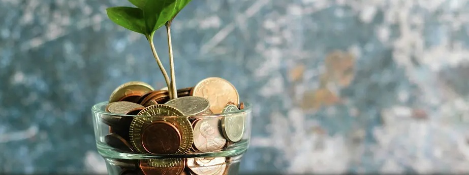 A plant grows from a transparent pot containing metal coins.