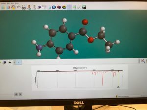 computer modelled benzocaine