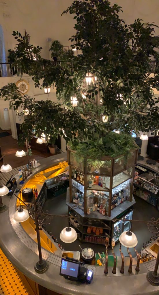 A view down on to the bar inside 'The Botanist' restaurant in Bath.