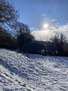 A snowy hill with trees.