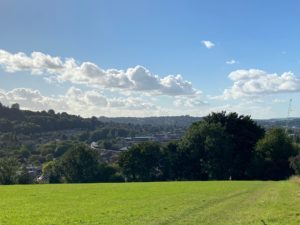 A view of Bathwick Hill ona sunny day. Green grass in the foreground and dark green shrubbery topped with a cloudy, bright blue sky