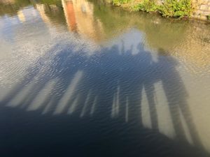 The reflection of 7 people on some grey/blue water. There is a brick wall and some green plants at the top of this landscape photo. While a building is also reflected at the top of he photo. 