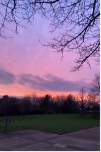 A pink/orange sunset, taken by the lake on campus.