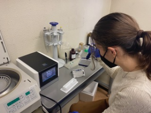 Working in the lab.