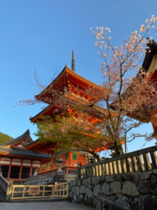 Temple in Kyoto