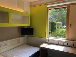 Photo of a student room including the areas with pub sockets, the window and bright lime green walls