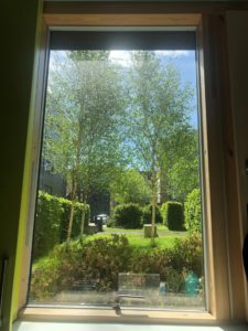 View from the bottom floor onto green hedges, trees, grass and a blue sky which is just visible