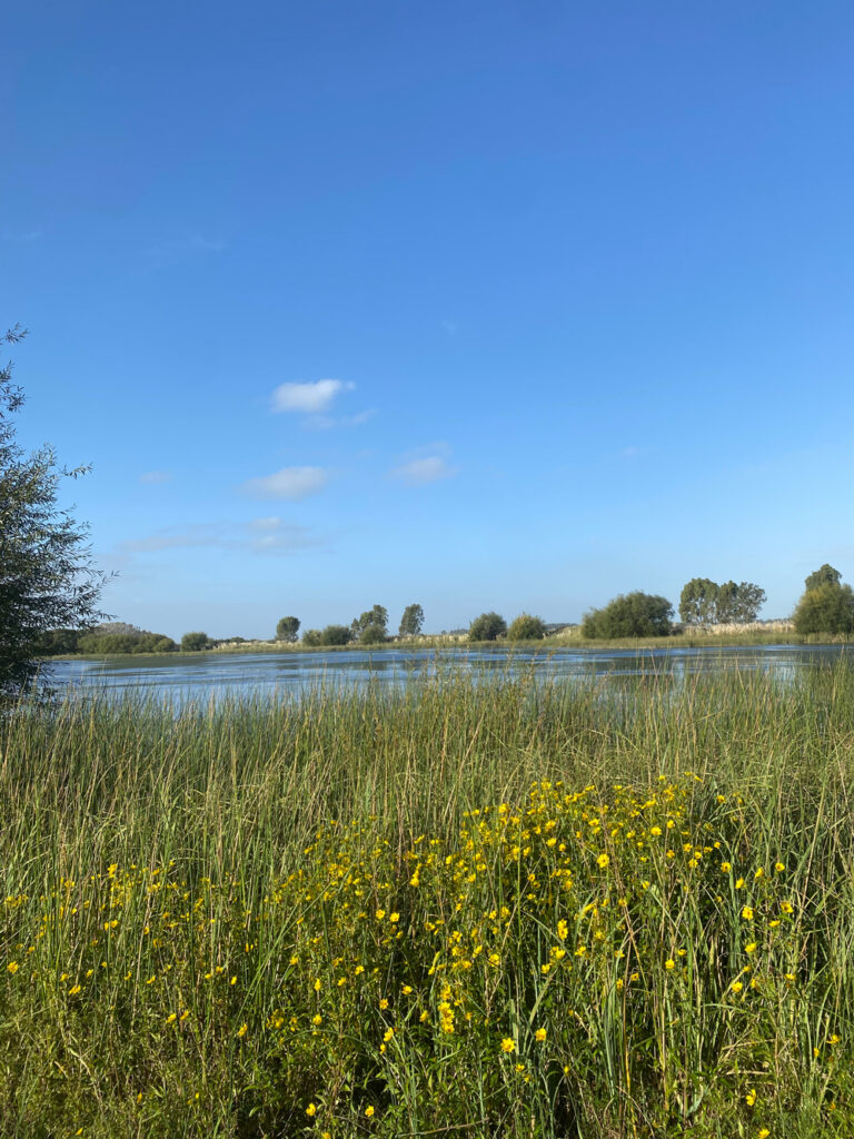 View of a meadow that leads into a lagoon