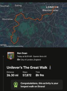 Screenshot of a map with a red line showing a walk route.