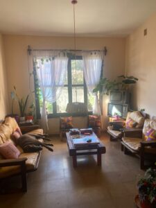 Living room interior during the day, with two leather chairs and a leather couch that has a brown dog napping on it.