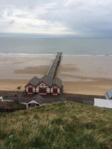 Figure 2. Saltburn Pier at low tide.