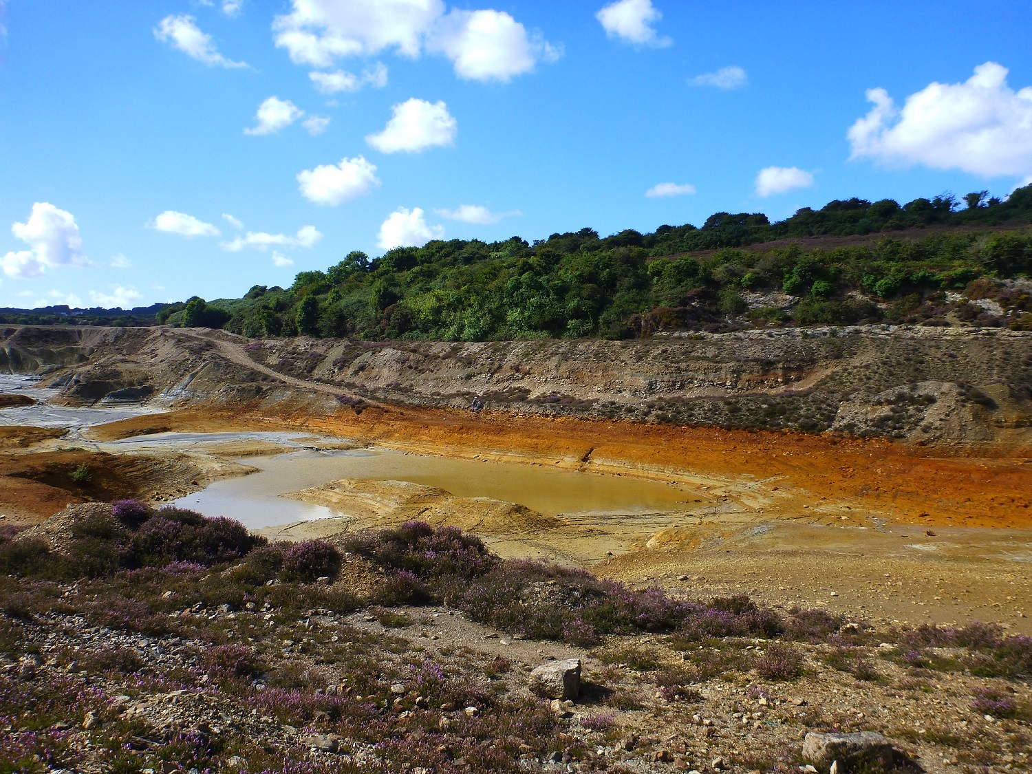 Researchers to use algae to clean up mine water | Let's talk about water